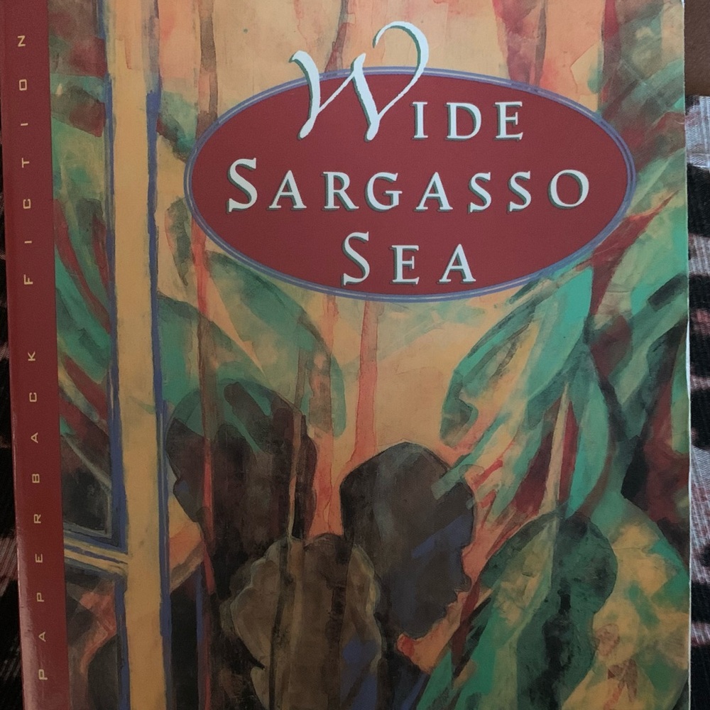 Wide Sargasso Sea book